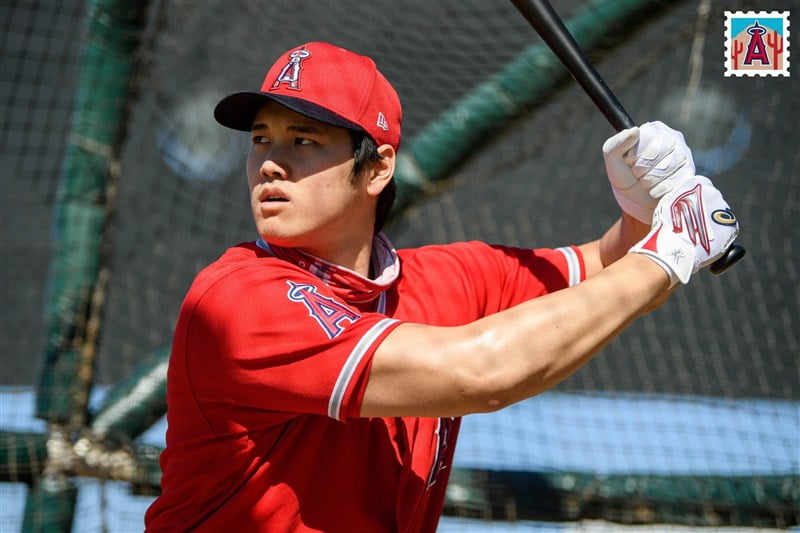 大谷翔平選手の活躍!